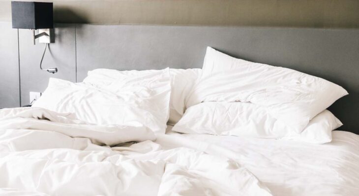 Ploșnițe de pat, cea mai bună soluție eficientă
