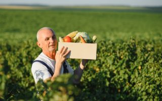 Secretul unei recolte bogate: cum să maximizezi producția