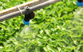 Avantajele sistemelor de irigații prin picurare pentru grădina ta