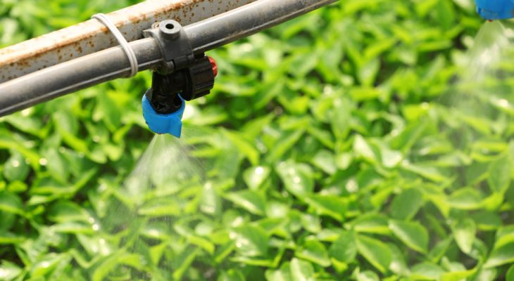 Avantajele sistemelor de irigații prin picurare pentru grădina ta
